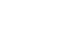 Eagle-Eye-Investments Logo - weißer Adler